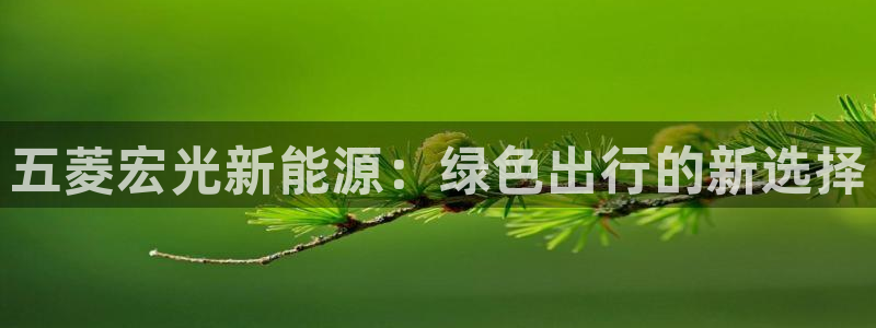 新宝gg返点模式