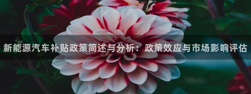 新宝gg论坛：新能源汽车补贴政策简述与分