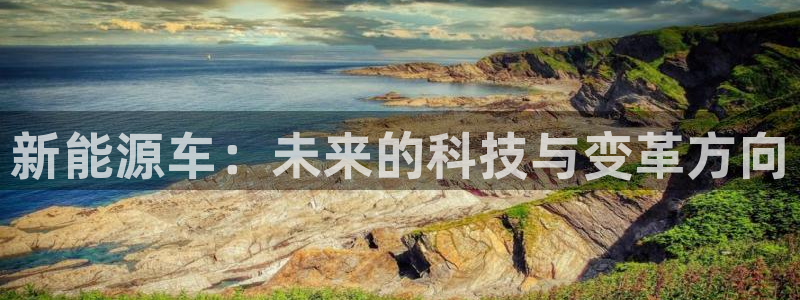 新宝GG登录网页：新能源车：未来的科技与